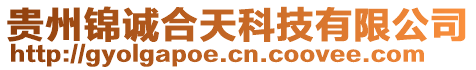 貴州錦誠(chéng)合天科技有限公司