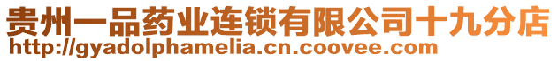 貴州一品藥業(yè)連鎖有限公司十九分店