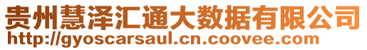 貴州慧澤匯通大數(shù)據(jù)有限公司