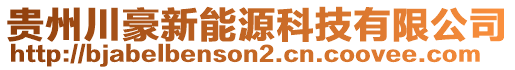 貴州川豪新能源科技有限公司