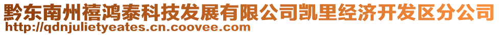 黔東南州禧鴻泰科技發(fā)展有限公司凱里經(jīng)濟開發(fā)區(qū)分公司