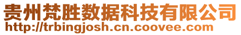 貴州梵勝數據科技有限公司