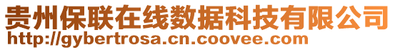 貴州保聯(lián)在線數(shù)據(jù)科技有限公司