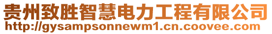 貴州致勝智慧電力工程有限公司