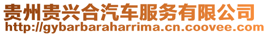 貴州貴興合汽車服務(wù)有限公司