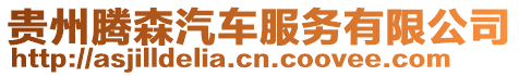 貴州騰森汽車服務(wù)有限公司