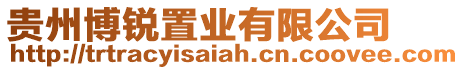貴州博銳置業有限公司