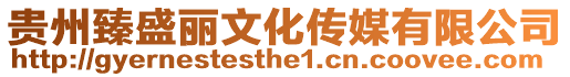 貴州臻盛麗文化傳媒有限公司