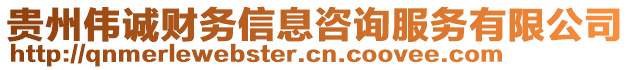 貴州偉誠(chéng)財(cái)務(wù)信息咨詢服務(wù)有限公司