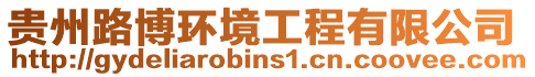 貴州路博環(huán)境工程有限公司