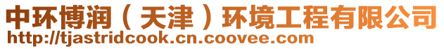 中環博潤(天津)環境工程有限公司
