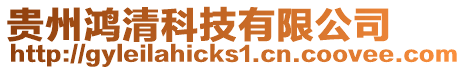 貴州鴻清科技有限公司