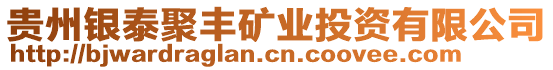 貴州銀泰聚豐礦業(yè)投資有限公司