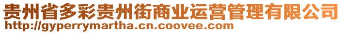 貴州省多彩貴州街商業(yè)運(yùn)營管理有限公司