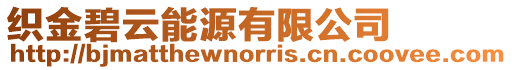 織金碧云能源有限公司