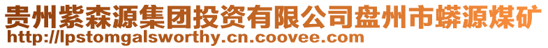 貴州紫森源集團投資有限公司盤州市蟒源煤礦