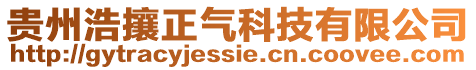 貴州浩攘正氣科技有限公司