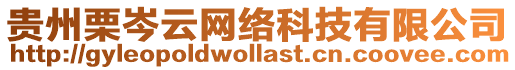 貴州栗岑云網絡科技有限公司