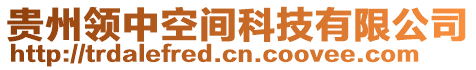 貴州領(lǐng)中空間科技有限公司