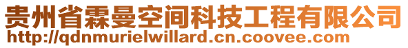 貴州省霖曼空間科技工程有限公司