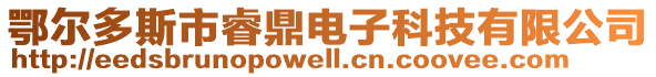 鄂爾多斯市睿鼎電子科技有限公司