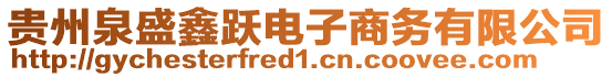 貴州泉盛鑫躍電子商務有限公司