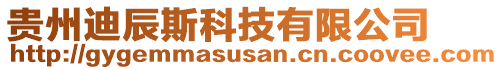 貴州迪辰斯科技有限公司