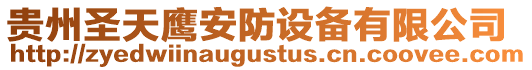 貴州圣天鷹安防設備有限公司