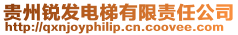 貴州銳發(fā)電梯有限責(zé)任公司