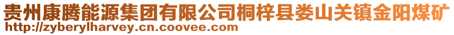 貴州康騰能源集團有限公司桐梓縣婁山關鎮金陽煤礦