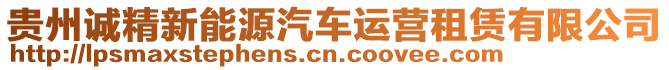 貴州誠(chéng)精新能源汽車運(yùn)營(yíng)租賃有限公司