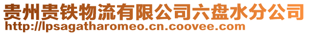 貴州貴鐵物流有限公司六盤水分公司