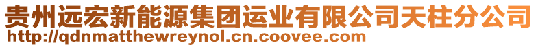 貴州遠宏新能源集團運業(yè)有限公司天柱分公司