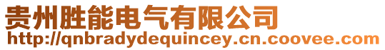 貴州勝能電氣有限公司