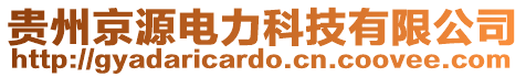 貴州京源電力科技有限公司