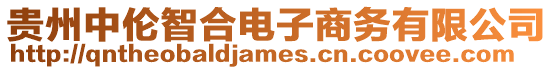 貴州中倫智合電子商務有限公司