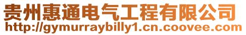 貴州惠通電氣工程有限公司