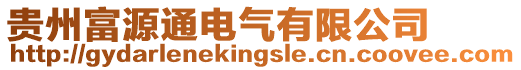 貴州富源通電氣有限公司