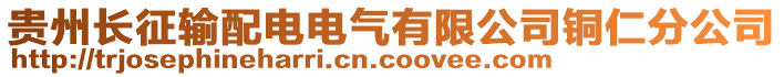 貴州長(zhǎng)征輸配電電氣有限公司銅仁分公司
