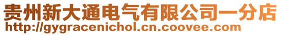 貴州新大通電氣有限公司一分店