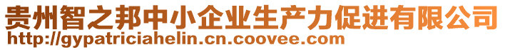 貴州智之邦中小企業(yè)生產(chǎn)力促進(jìn)有限公司