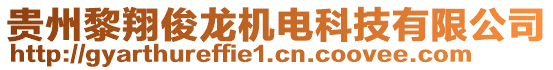 貴州黎翔俊龍機電科技有限公司