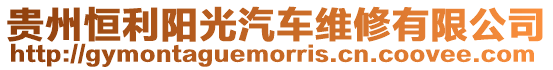 貴州恒利陽光汽車維修有限公司