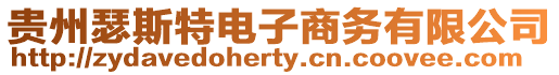 貴州瑟斯特電子商務(wù)有限公司