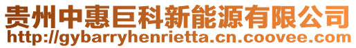 貴州中惠巨科新能源有限公司