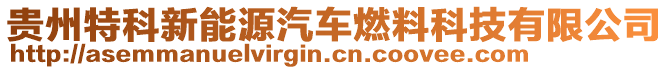 貴州特科新能源汽車燃料科技有限公司