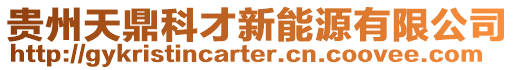 貴州天鼎科才新能源有限公司