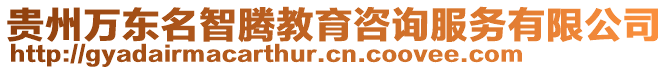 貴州萬東名智騰教育咨詢服務(wù)有限公司