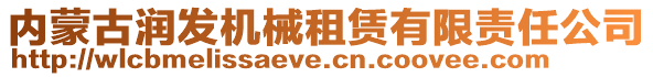 內(nèi)蒙古潤發(fā)機(jī)械租賃有限責(zé)任公司