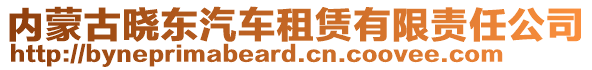 內(nèi)蒙古曉東汽車(chē)租賃有限責(zé)任公司